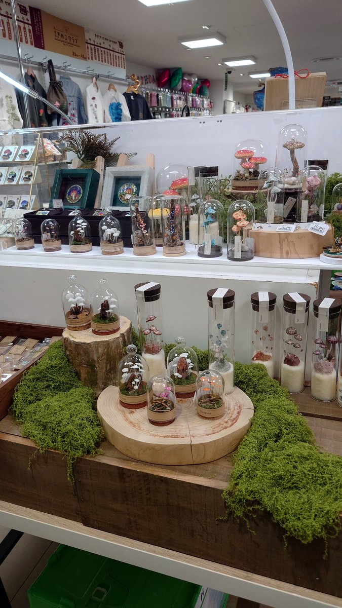 埜 明&のあ🐾🐍 tweet media