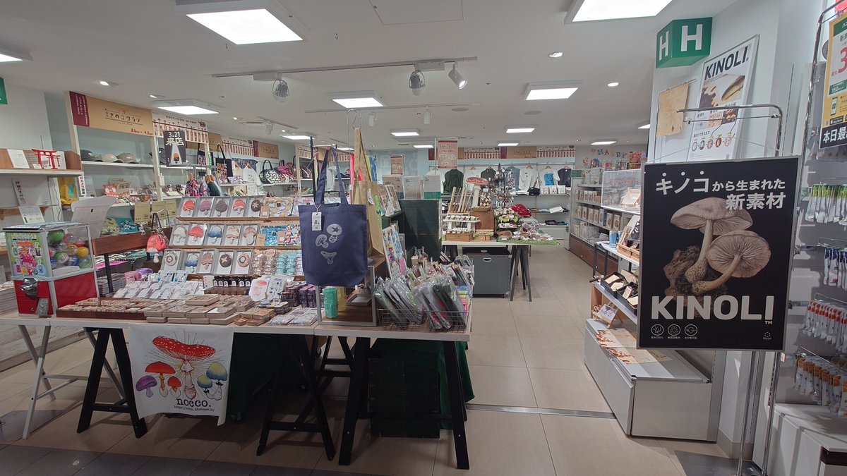 埜 明&のあ🐾🐍 tweet media