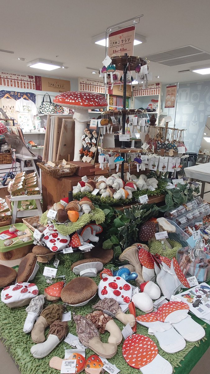 埜 明&のあ🐾🐍 tweet media