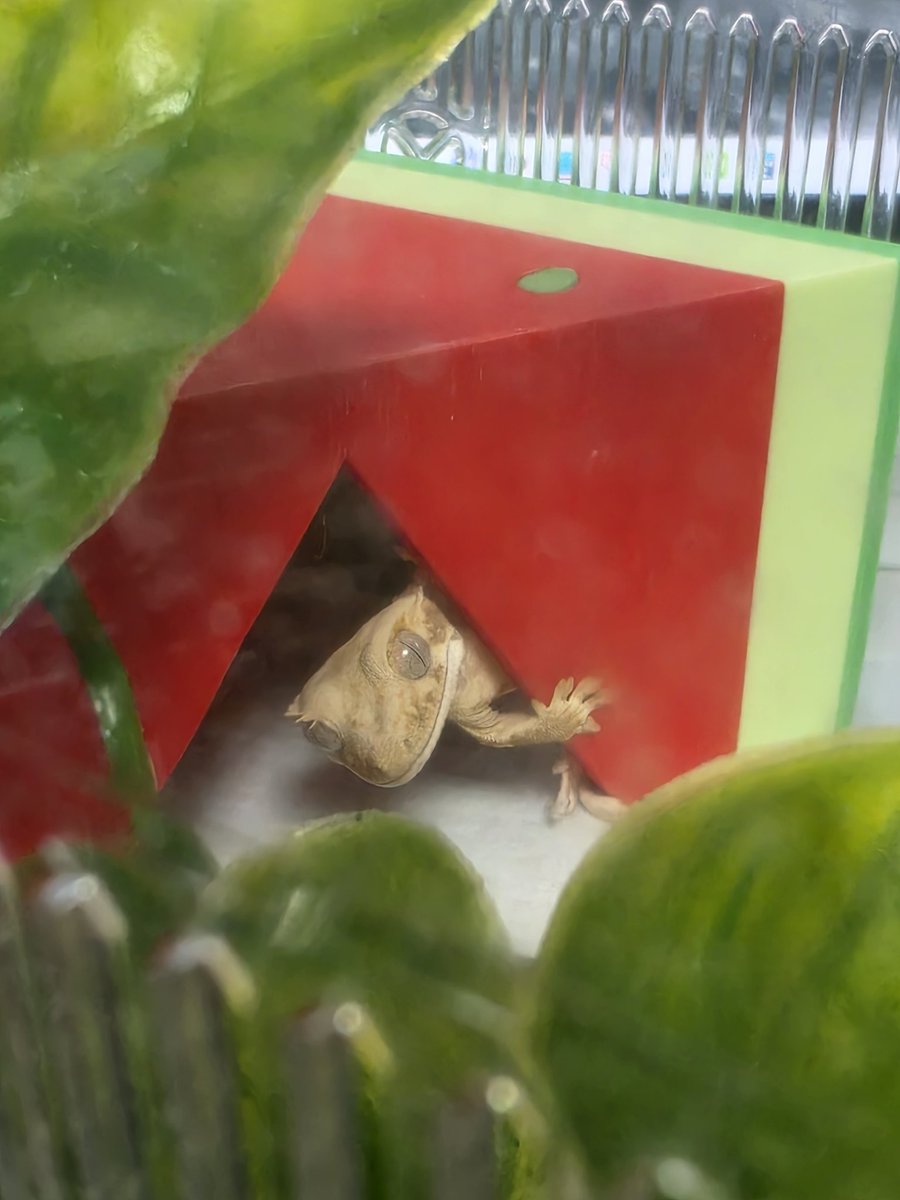 아기들사진올리는곳🐛 tweet media