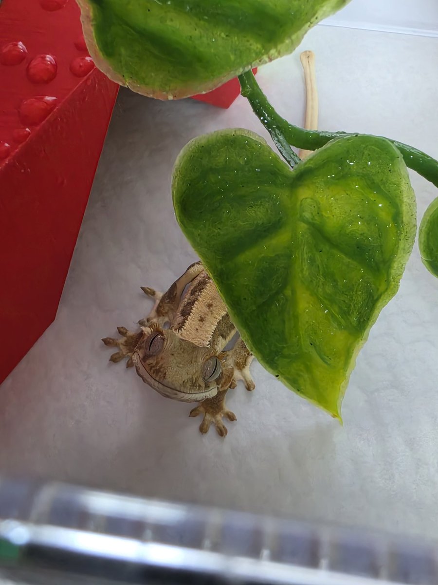 아기들사진올리는곳🐛 tweet media