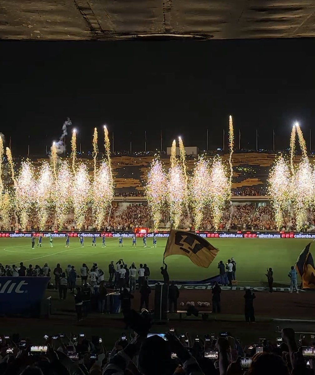 Fabrizio Domínguez Castilla tweet media