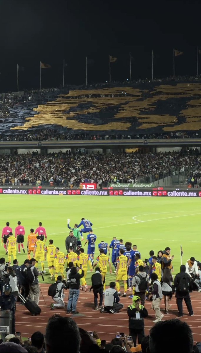 Fabrizio Domínguez Castilla tweet media