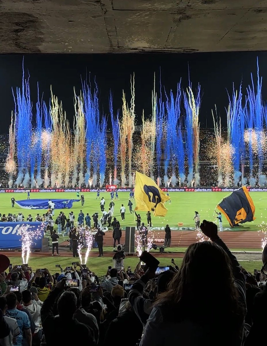 Fabrizio Domínguez Castilla tweet media