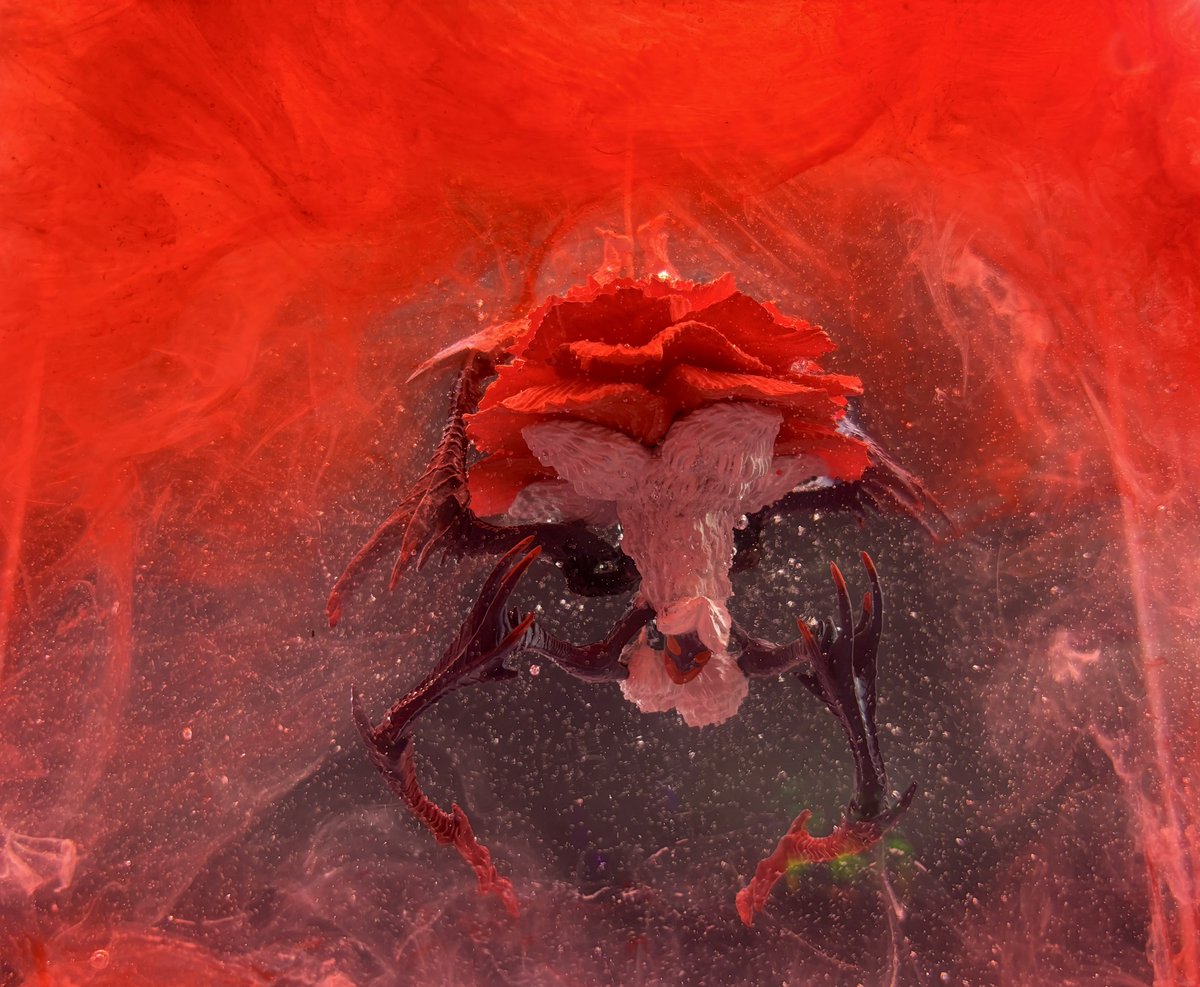 姫野ウズラ(怪人 掻鳥男) tweet media