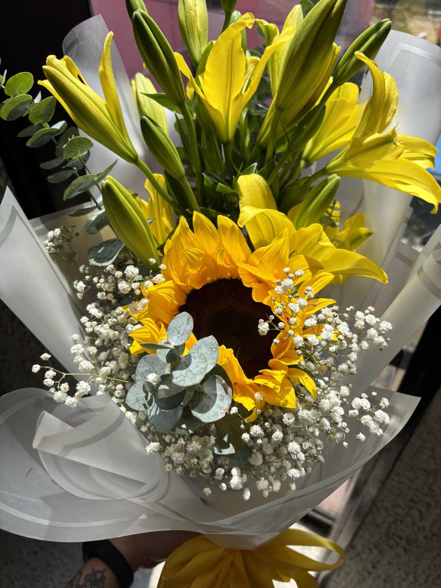 fake cinephile tweet media