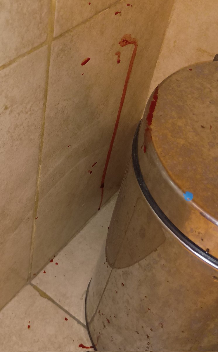 teptep~—⁠☆ tweet media