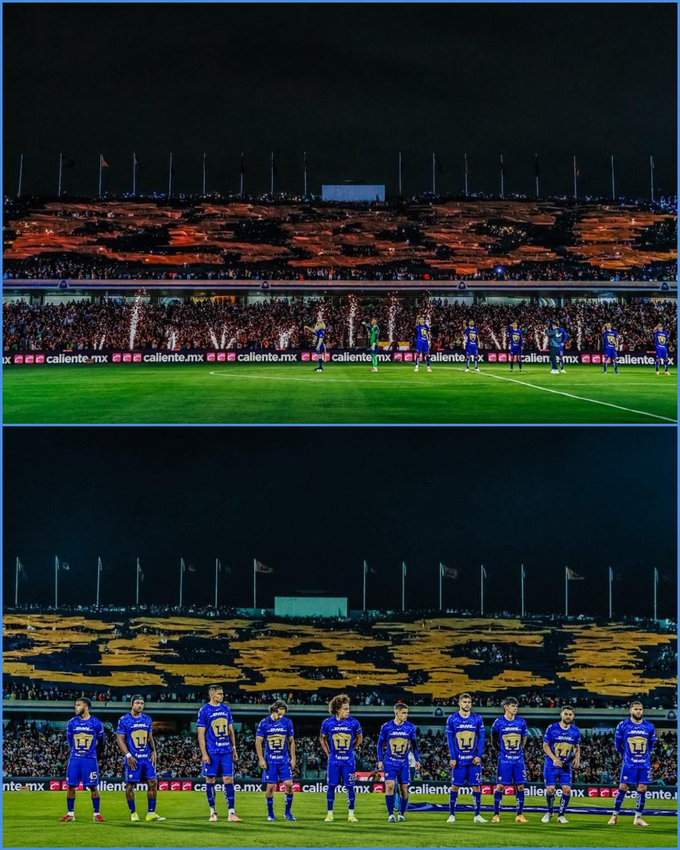 Esto en Línea tweet media