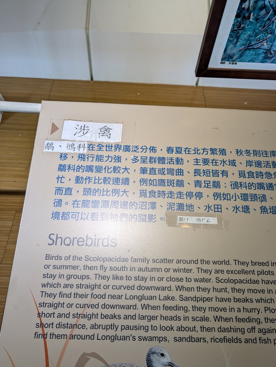 台南小隻馬 tweet media