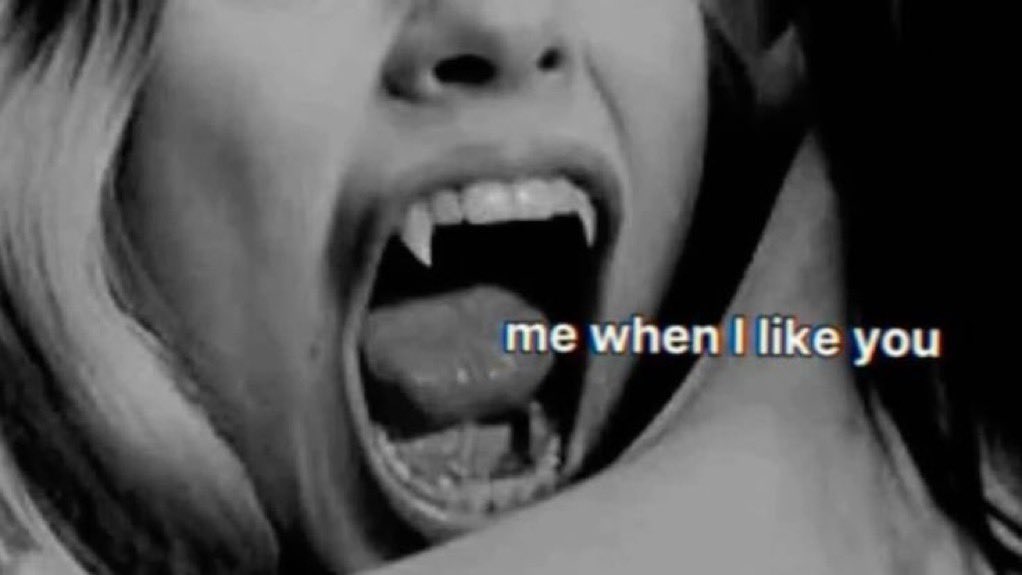 Me & Who? tweet media