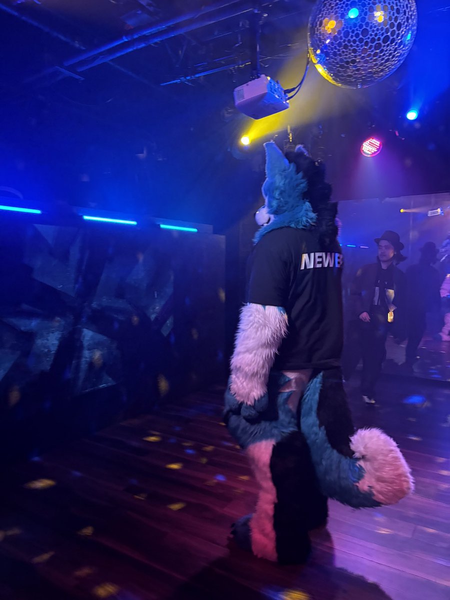 ケイシ(KC)🔜 tweet media