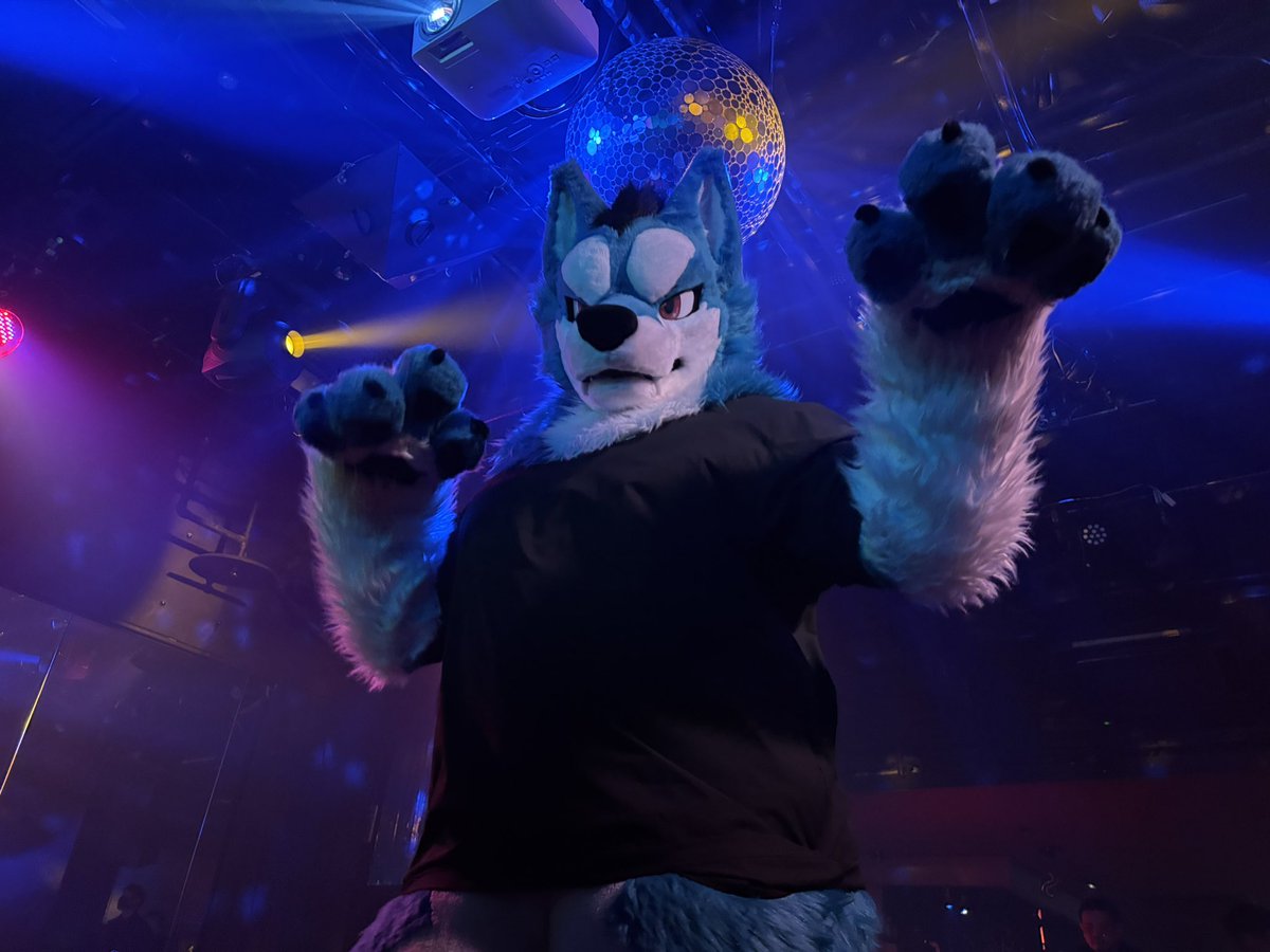 ケイシ(KC)🔜 tweet media