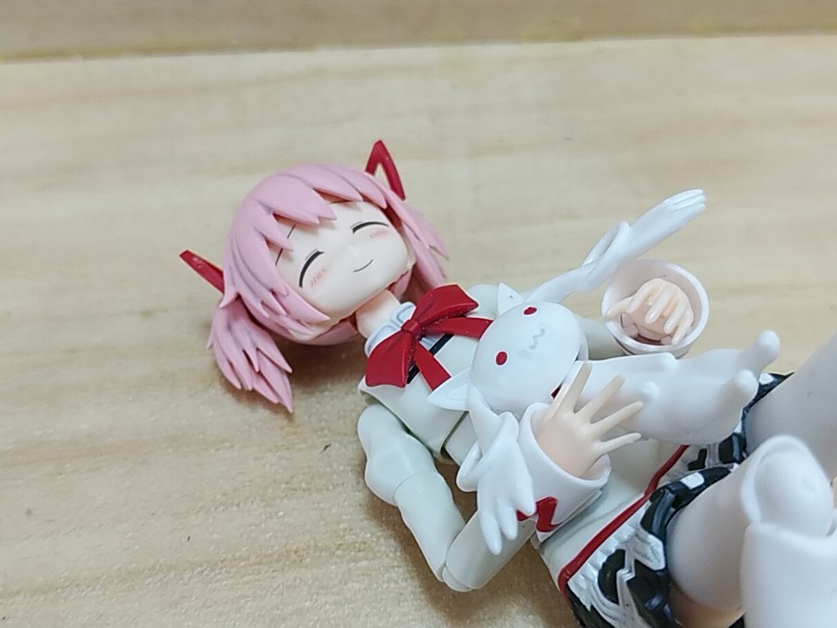 パピィちゃんねる tweet media