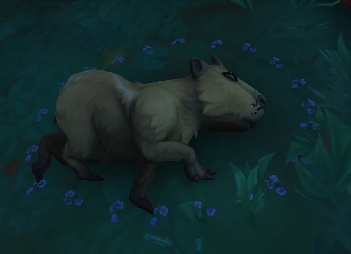 ꌗᑌᑭᗩY 🔜 BlizzCon 2026 tweet media