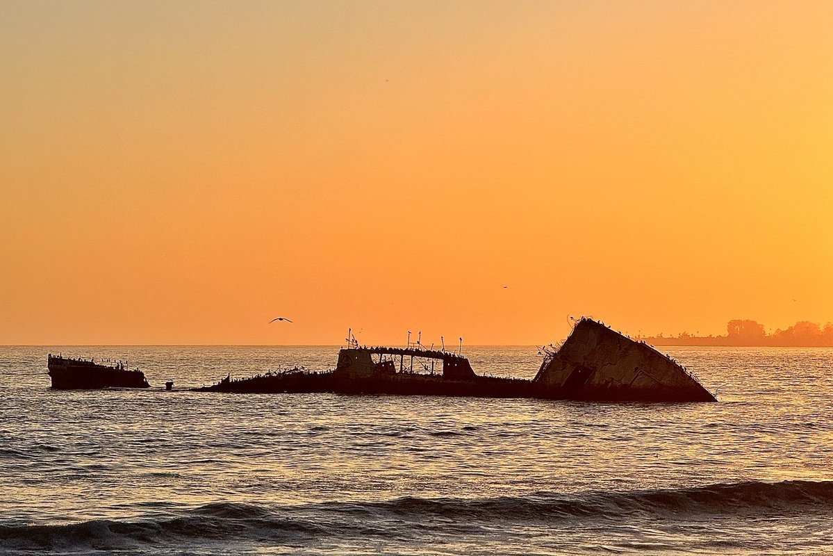 Native Santa Cruz tweet media