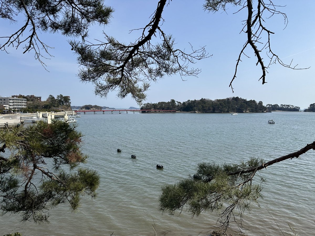 らんでぃ(じぇー) tweet media