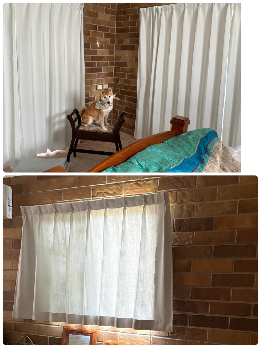 トラゴマ tweet media