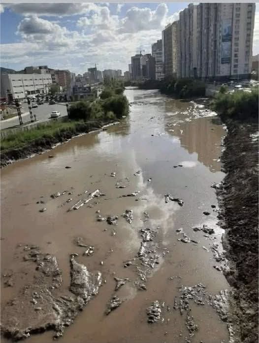 Эрхэмдээ tweet media