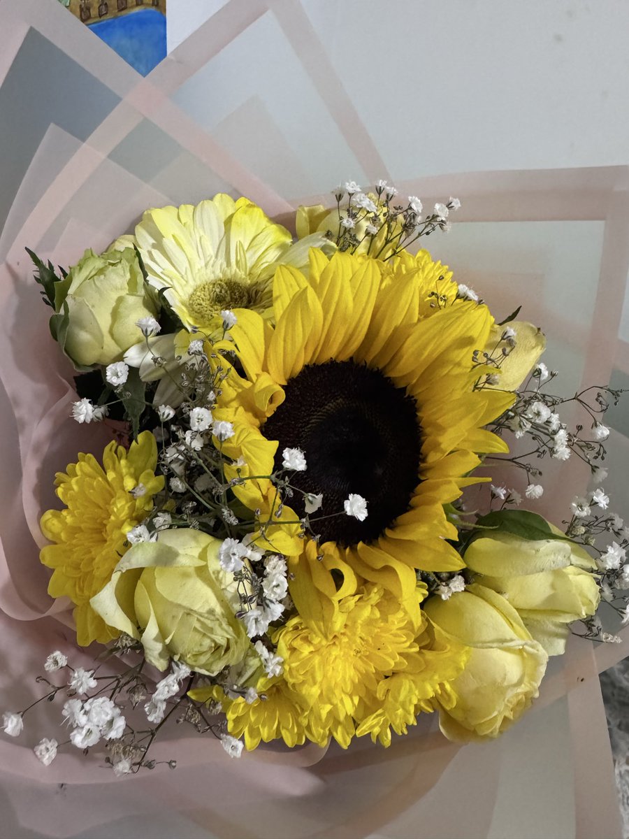 anngermanr's tweet photo. Amo 🌻 https://t.co/GfgjXh8rI6