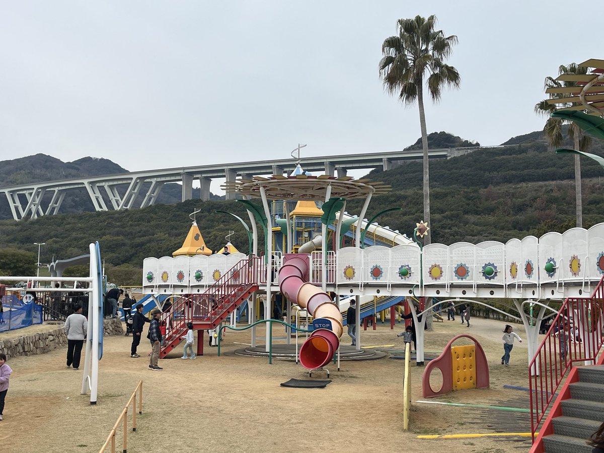 まーぼーどん tweet media