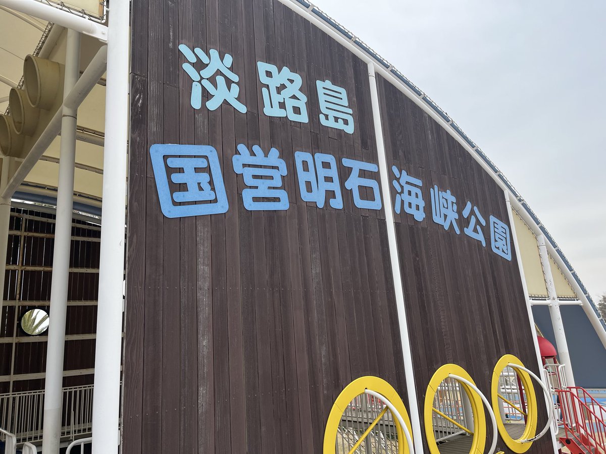 まーぼーどん tweet media