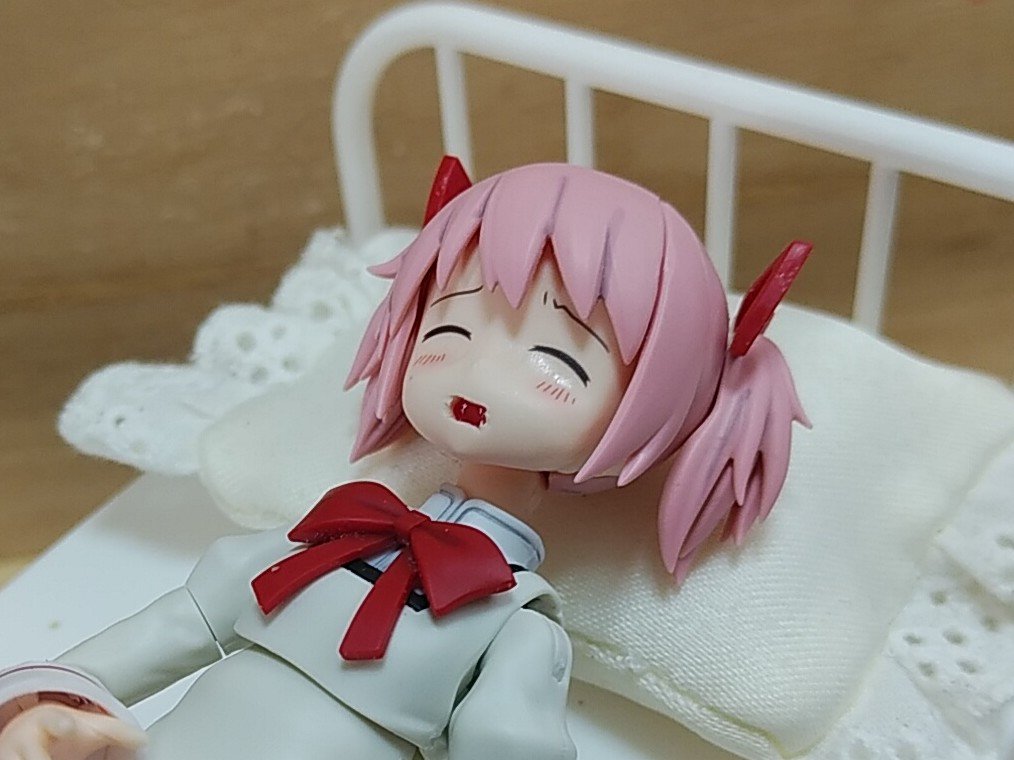 パピィちゃんねる tweet media