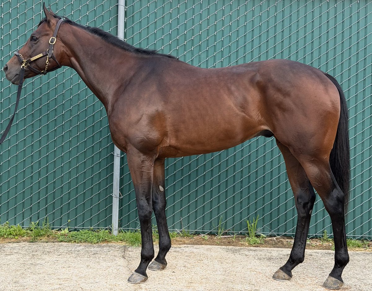 Cherie DeVaux tweet media