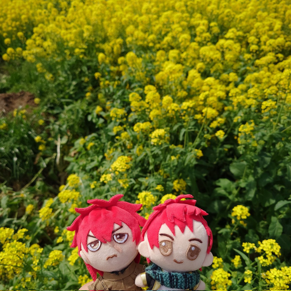 なつこ🍚 tweet media