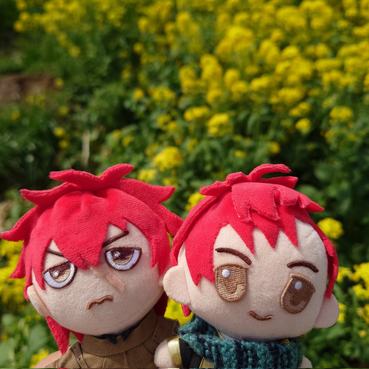 なつこ🍚 tweet media