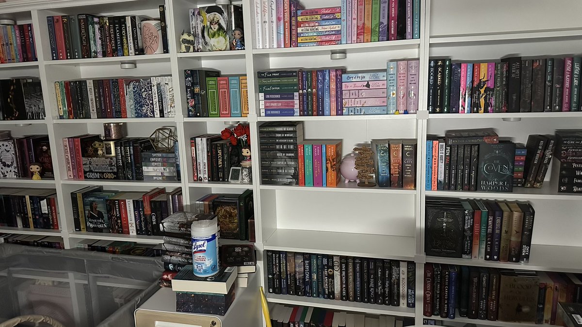 CatfinatedDestiny tweet media