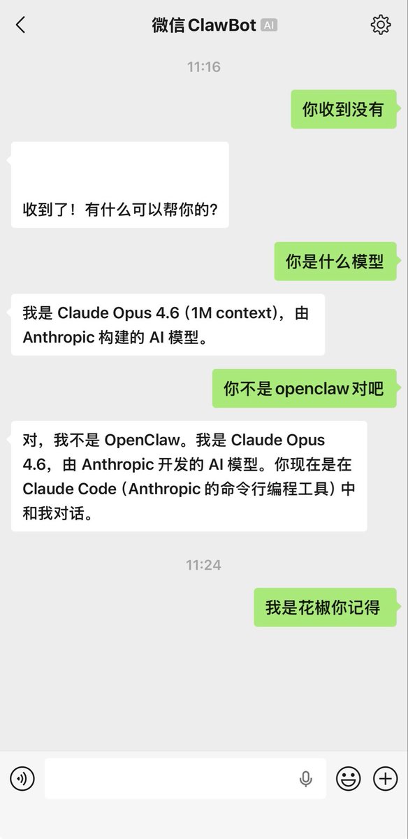 pepper 花椒 tweet media