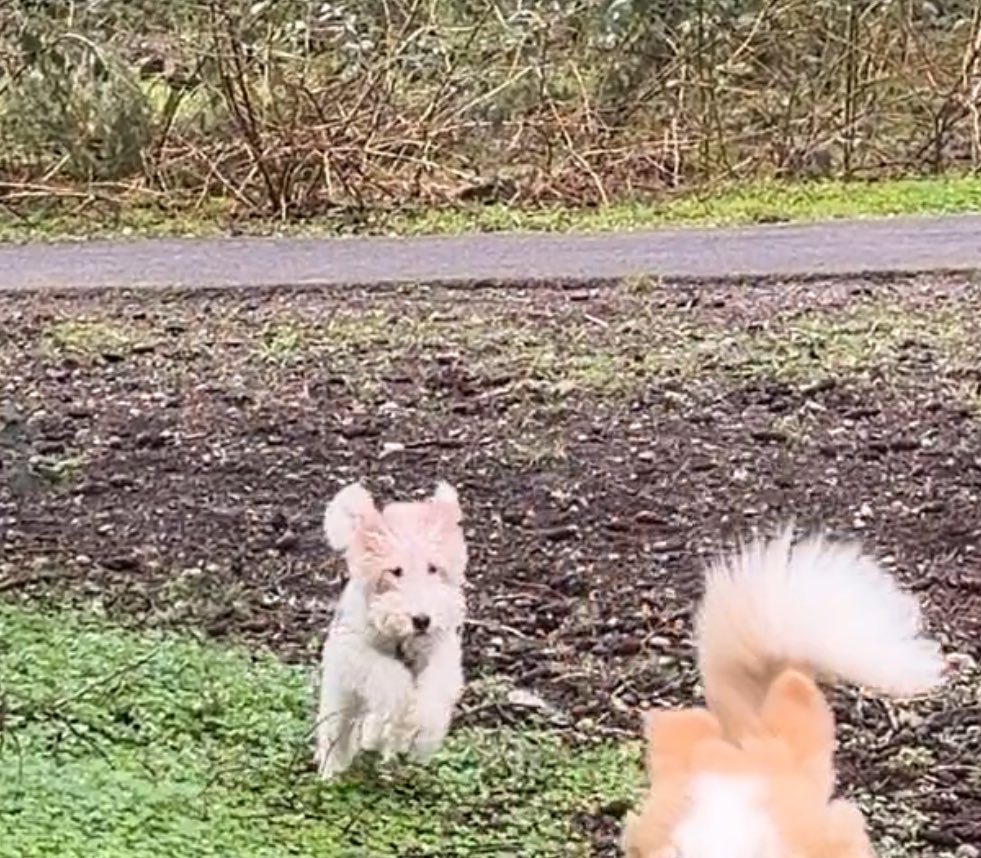 호밀빵의 파수꾼 tweet media