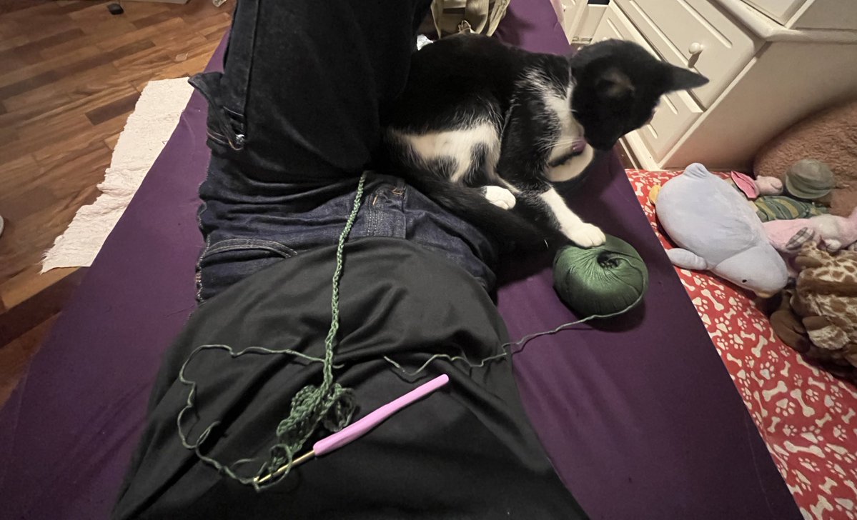 🪷 ᵇⁱ tweet media