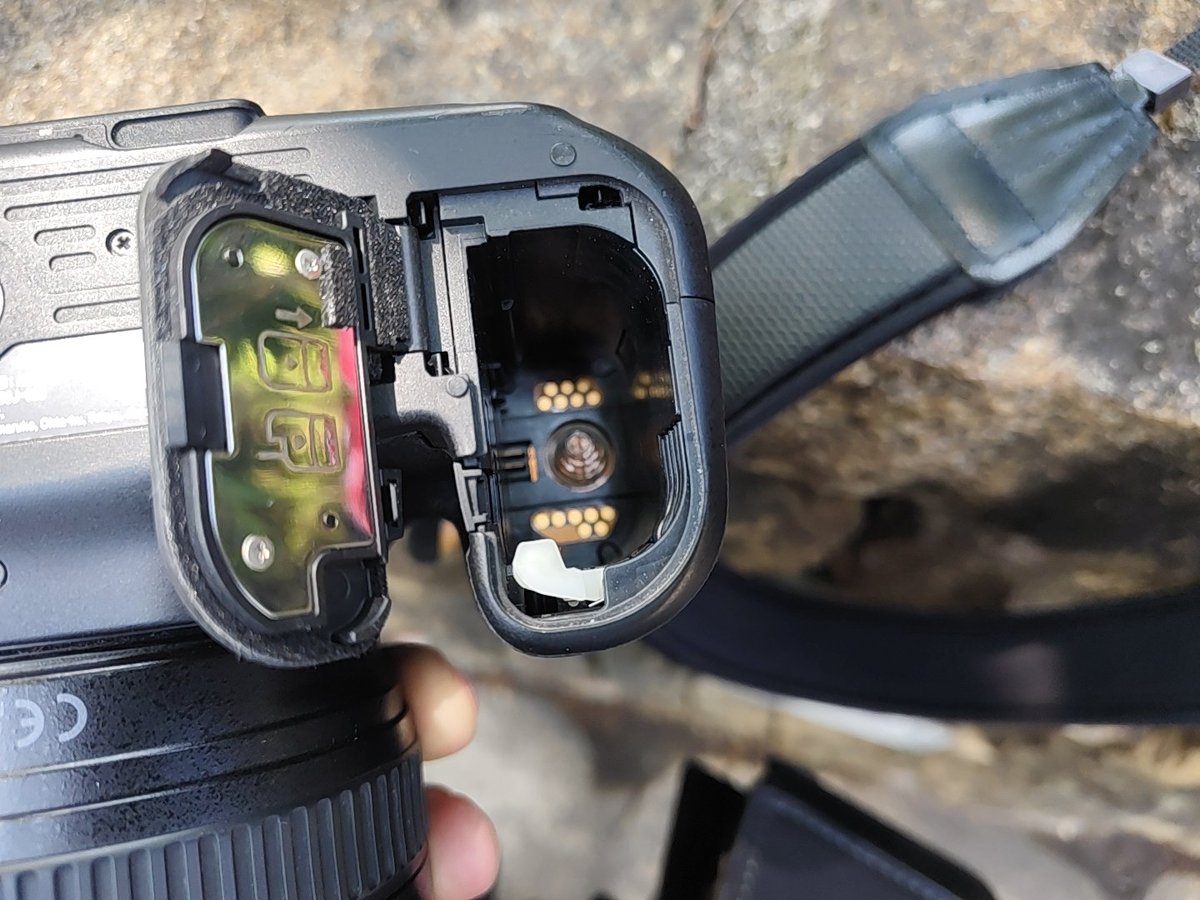 北極星🌟&風鈴草🍀 葉紫 tweet media