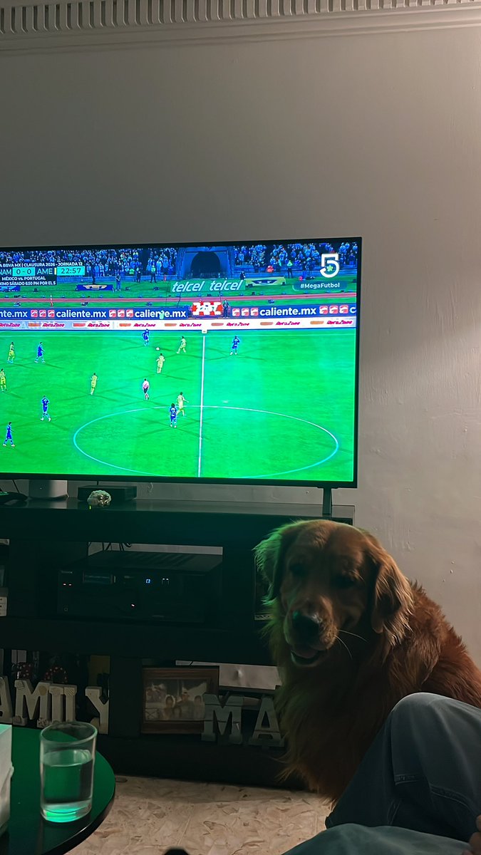 Marialobo15's tweet photo. #Megafutbol @TUDNMEX https://t.co/AK2CuEGFhe