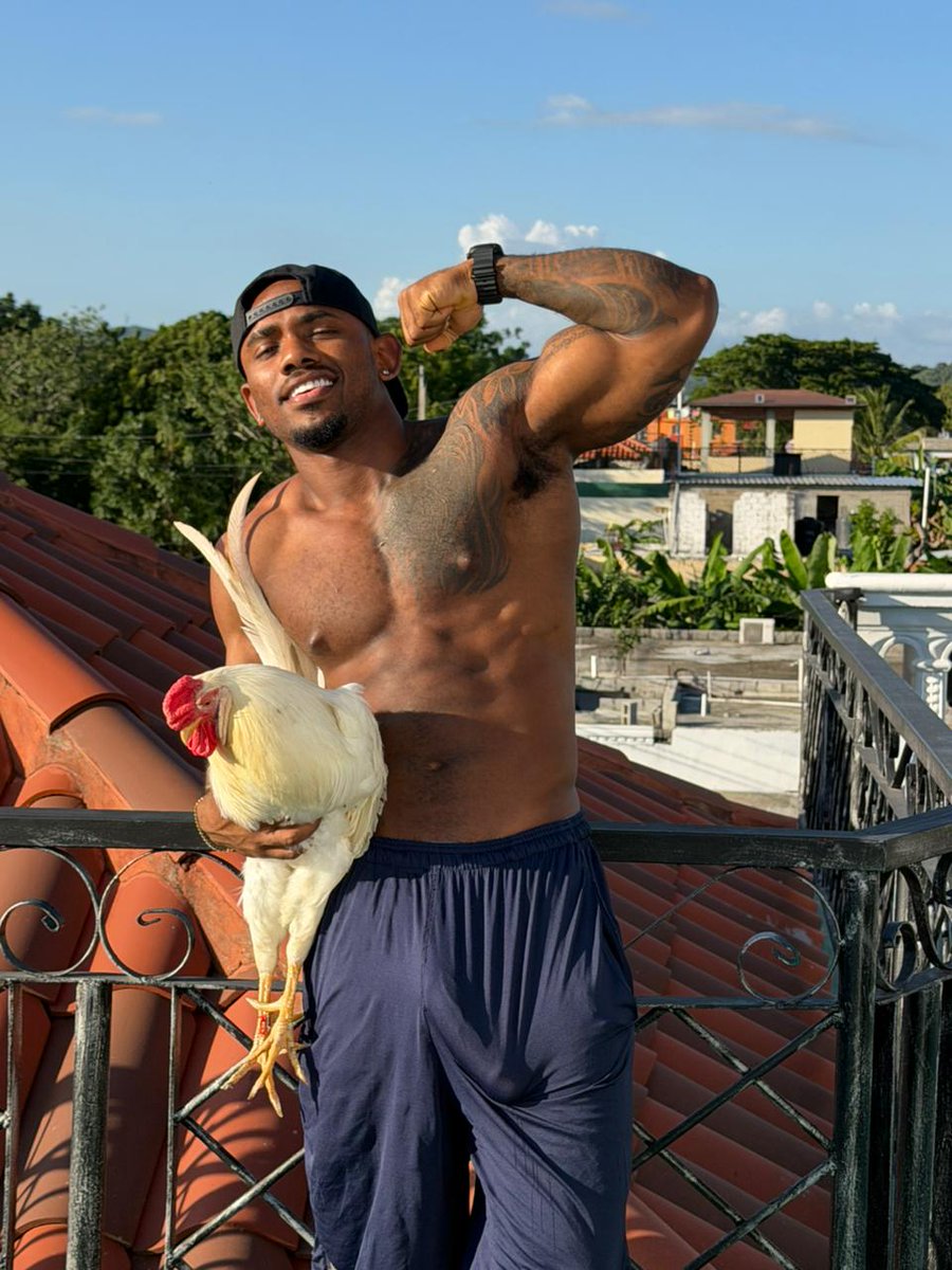 rate my chicken 1-10.