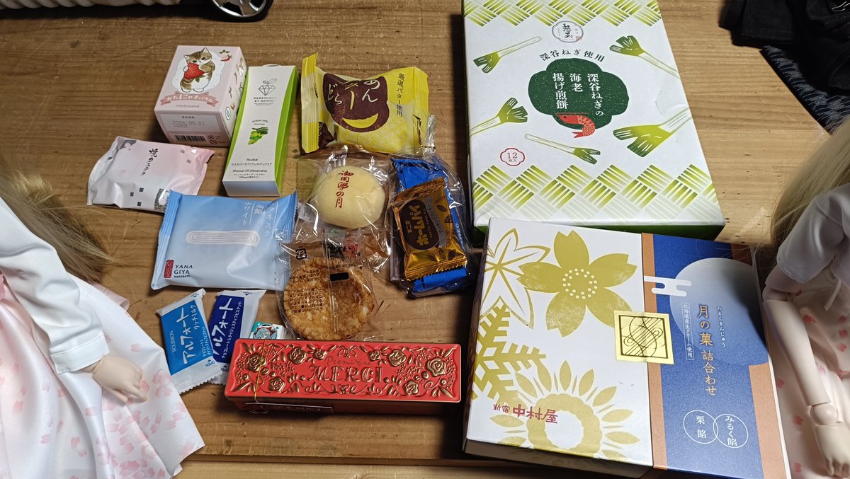 みら太＠みら太な日々 tweet media