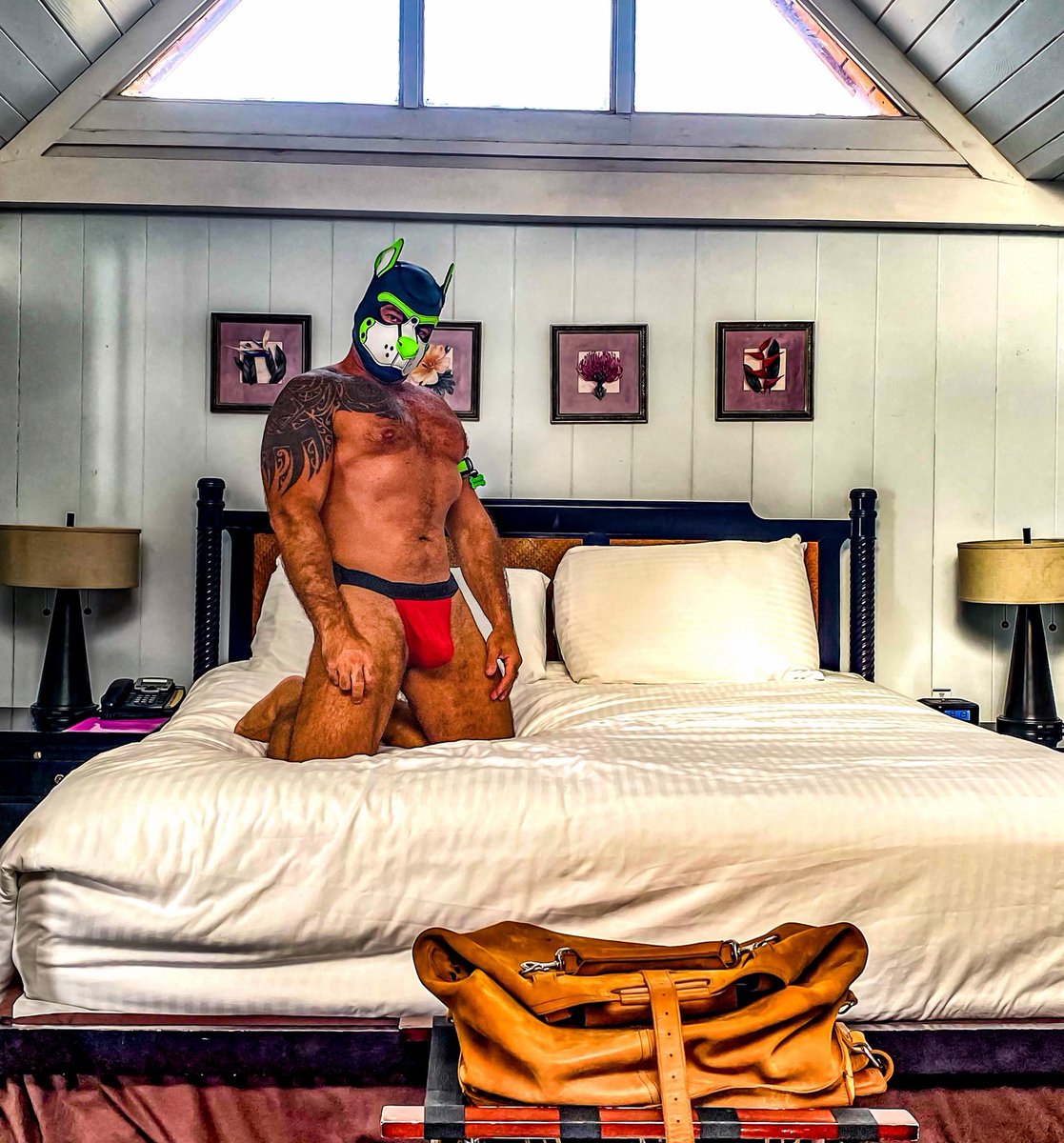 The Dog General tweet media