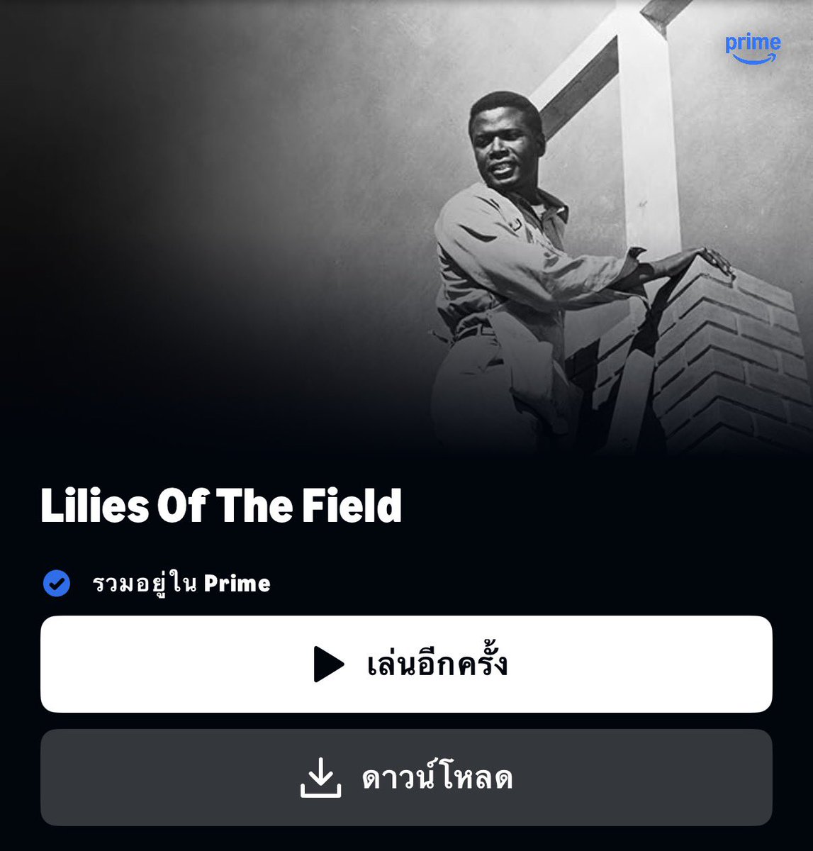 𝐿𝑖𝑛𝑔𝑥𝑖𝑢.🌷 tweet media