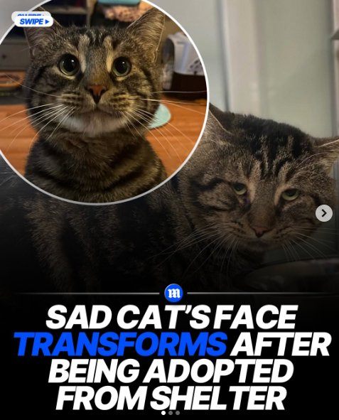 Rob Keef tweet media