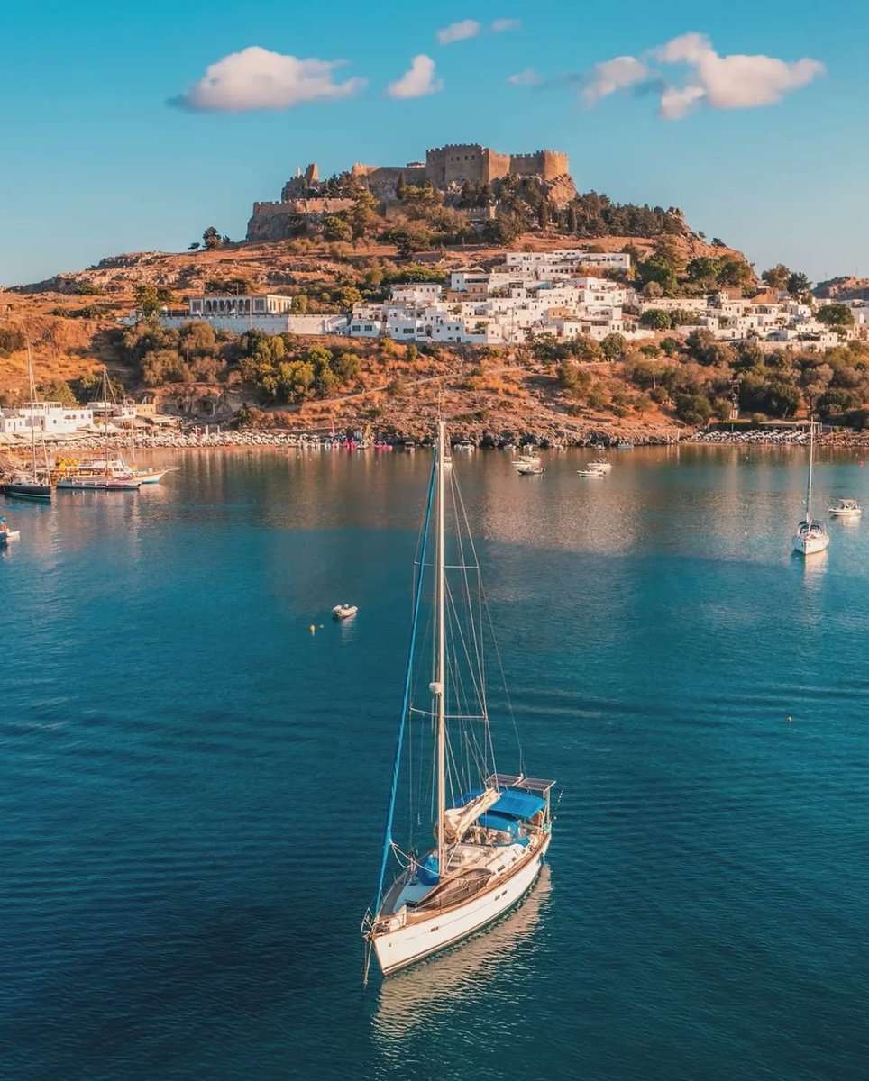 Delight Moments tweet media