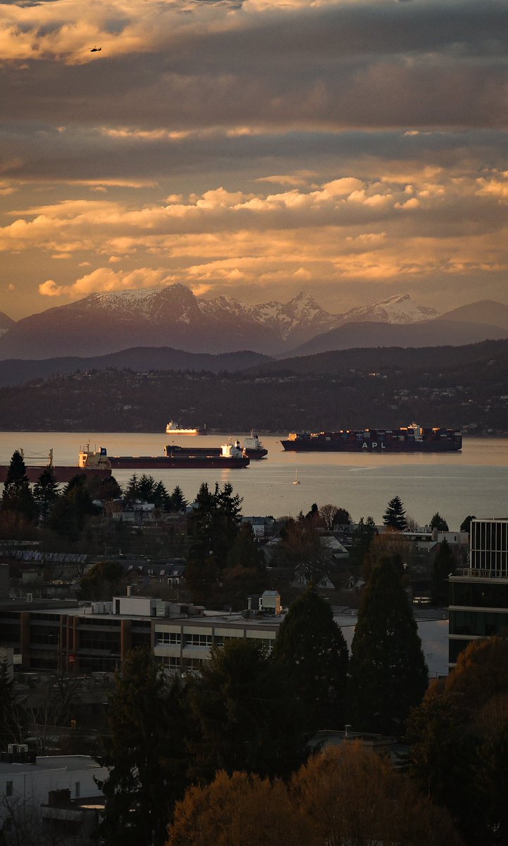 Glen Ivan tweet media