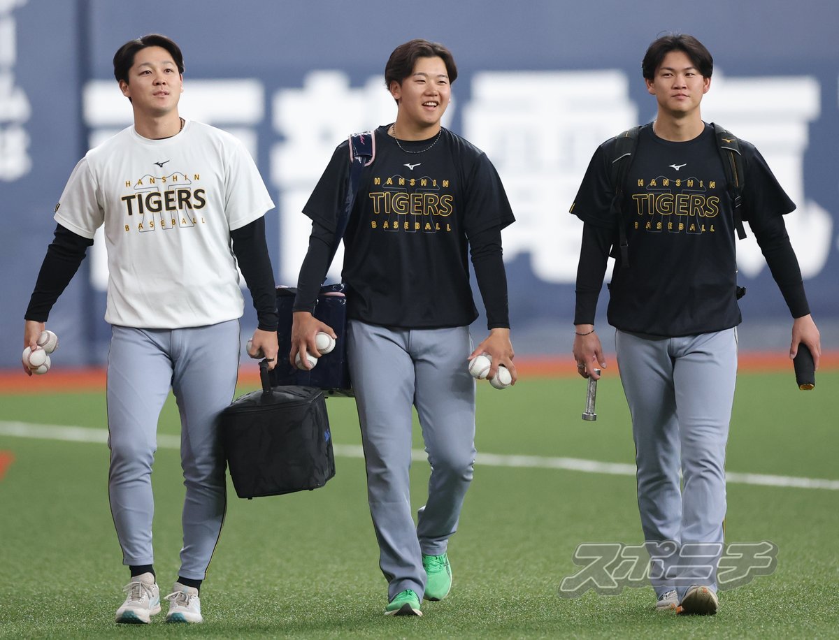 スポニチTIGERSフォト tweet media