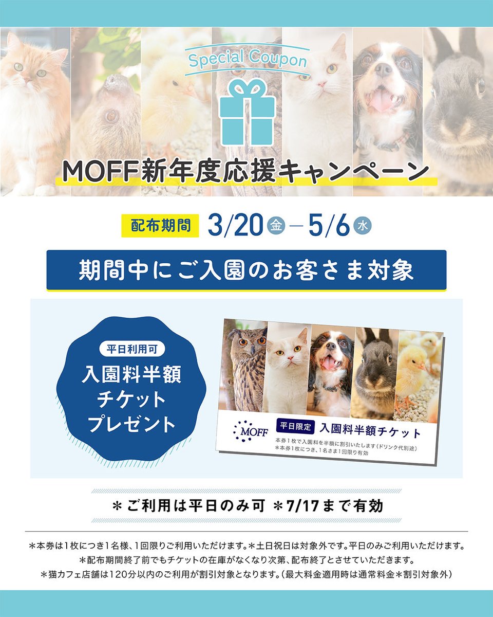 Moff_tougou's tweet photo. ＼平日がお得‼️／
📣【MOFF新年度応援キャンペーン】
📅 3/20(金・祝)～明日から！
🎫【入園料半額チケット】
🌸春休み～☔️梅雨まで使える超お得なチケット🉐
どうぶつたちに会いに行こう‼️

詳細👇
https://t.co/03fRE1FAp0

#MOFF新年度応援キャンペーン #春休み #家族でおでかけ https://t.co/gRx88gberm