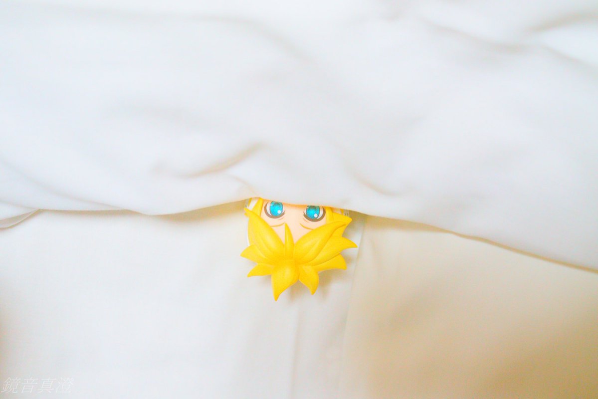 ぴよぴよB tweet media