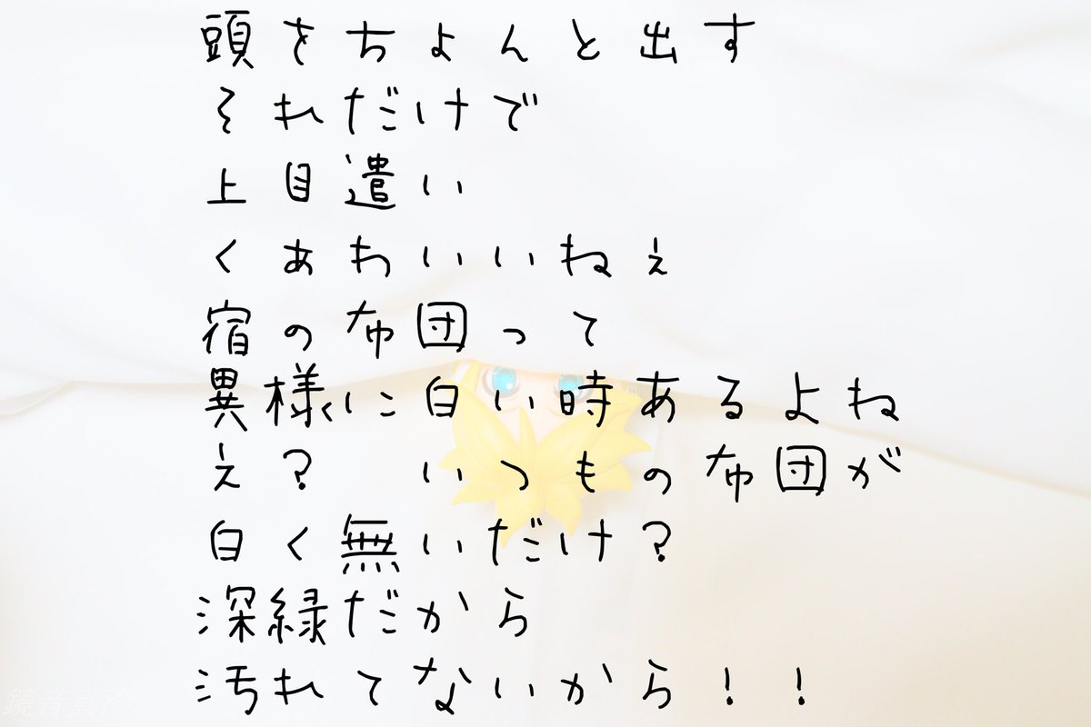 ぴよぴよB tweet media