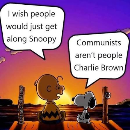 Robin Clarke tweet media