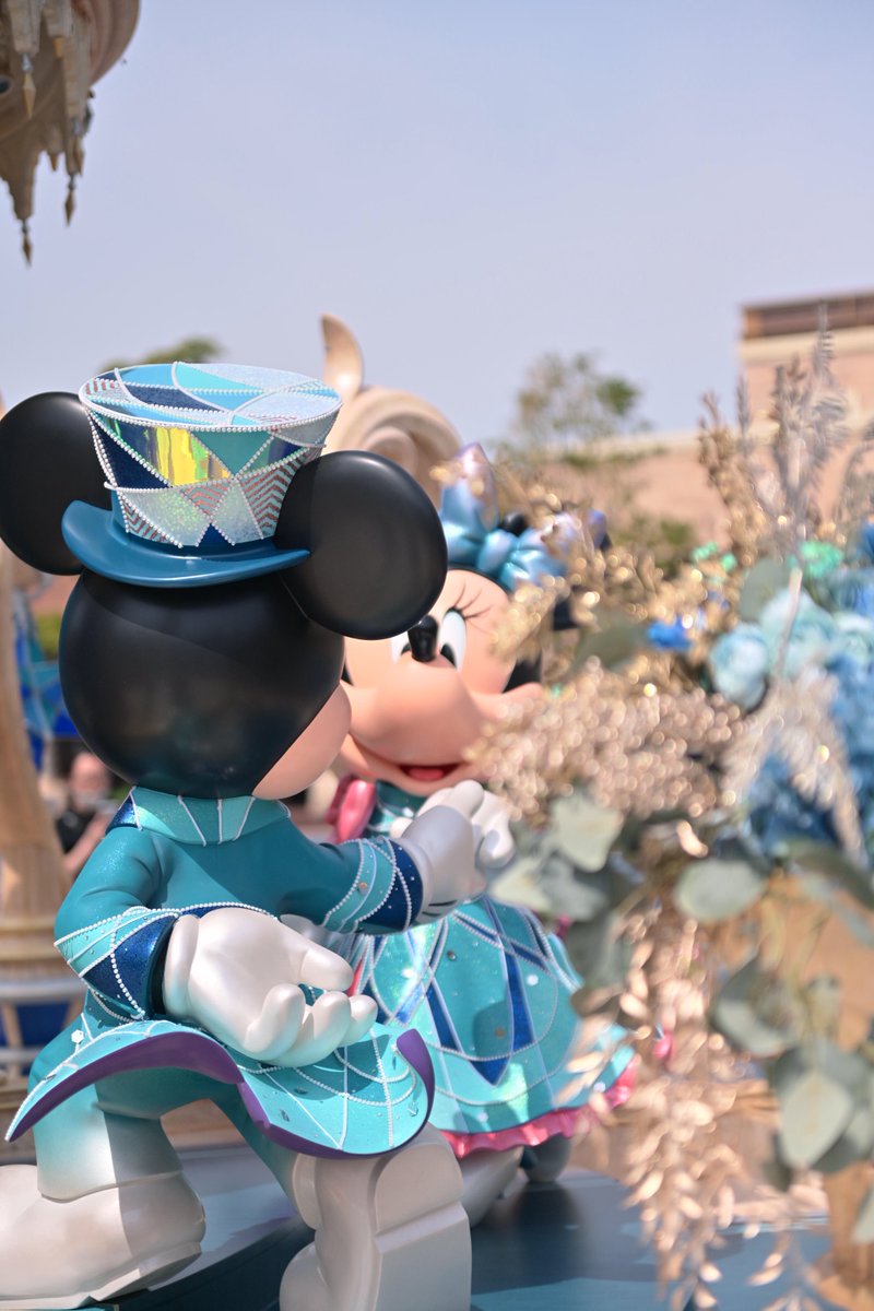 もふ汰🐿️🌼 tweet media