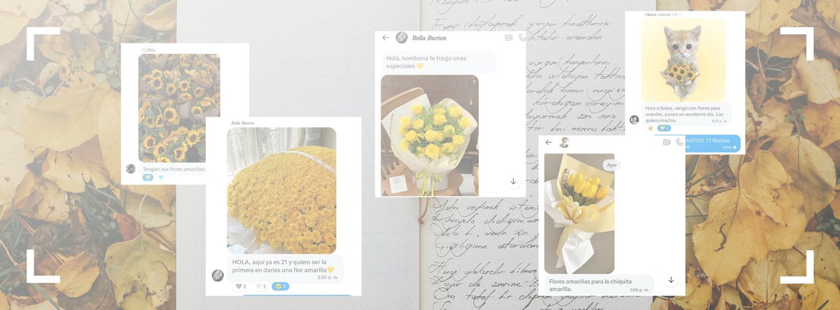 Elita, 𓇼 (–5 ⭐) tweet media