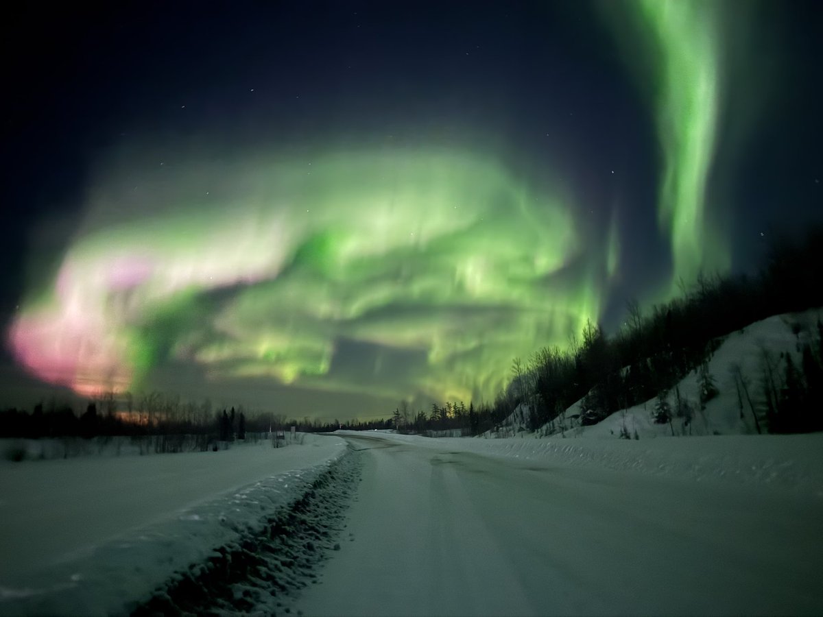 Fergies Photos (MBs Aurora Gal) tweet media